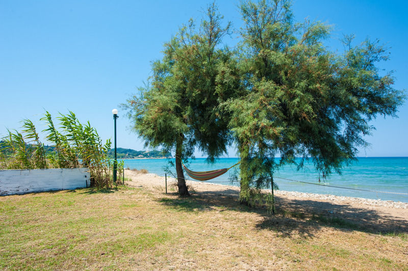 Corfu Sea Palm Residence Рода Екстер'єр фото